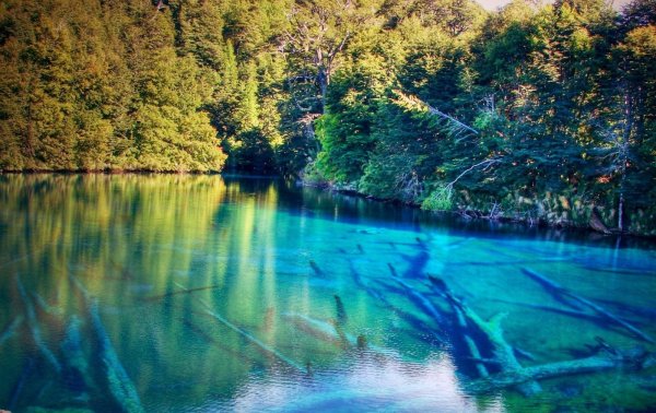 Бирюзовая природа