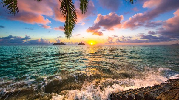 Hawaii Beach Анталия