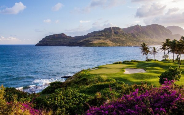 Пальмы 2560 х 1440