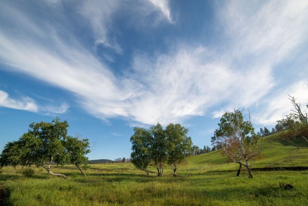 Пейзаж обычный
