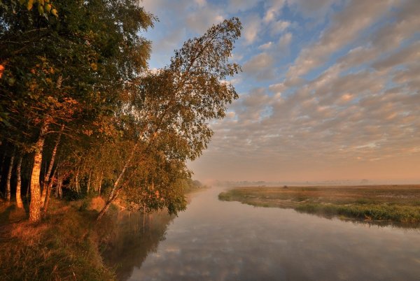 Пейзаж обычный