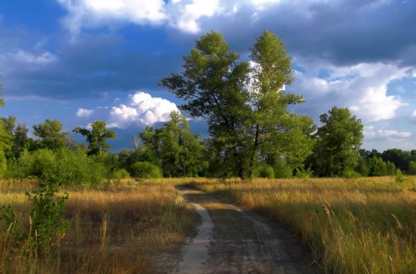 Пейзаж необработанный