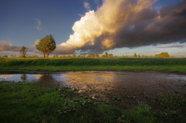Белорусский пейзаж