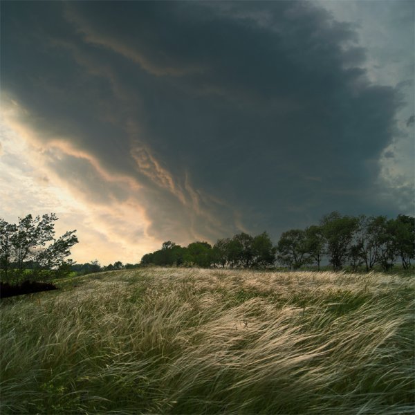 Природа среднерусской полосы