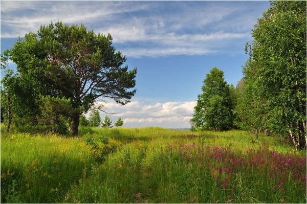 Русская природа