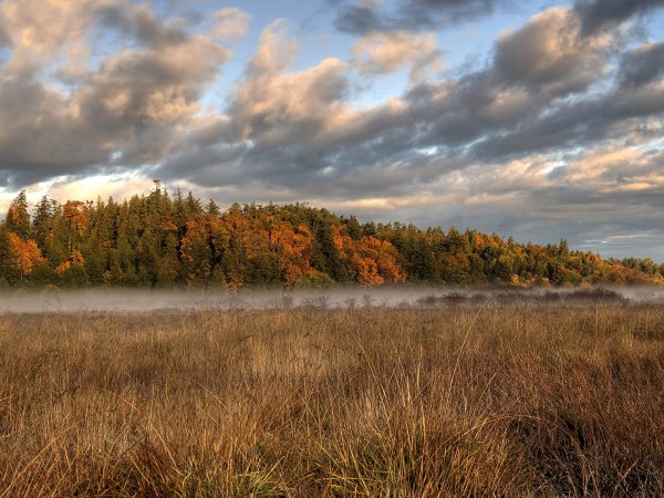 Пейзаж необработанный