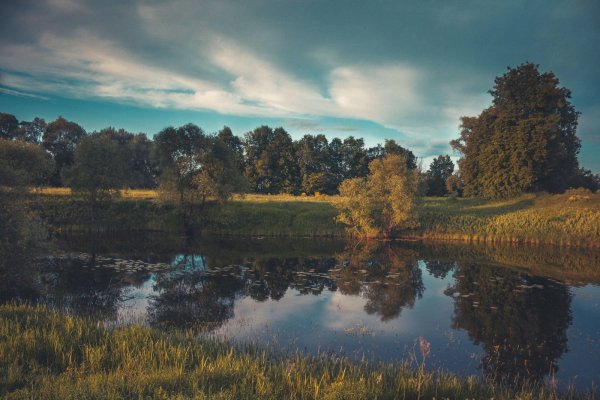 Пейзаж обычный