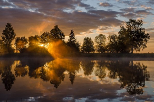 Природа без фильтров