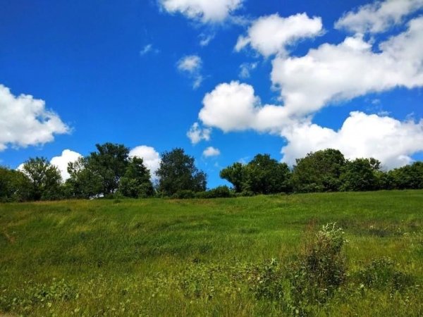 Пейзаж без обработки