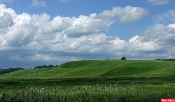 Пейзаж сфотографированный