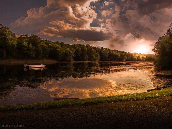 Фёдор Лашков дуб Павловск