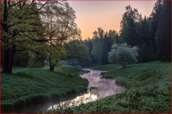 Пейзаж обычный