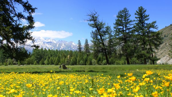 Пейзаж обычный