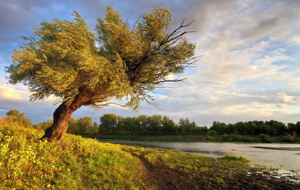 Удмуртия природа реки