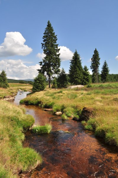 Фото природы