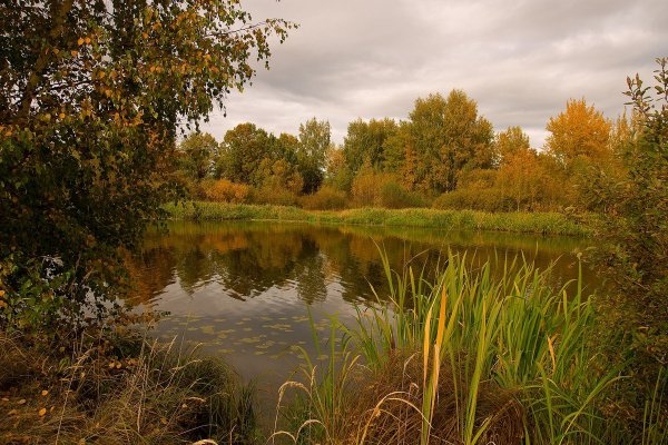 Сентябрьский пейзаж