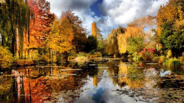 Осенний пейзаж сентябрь