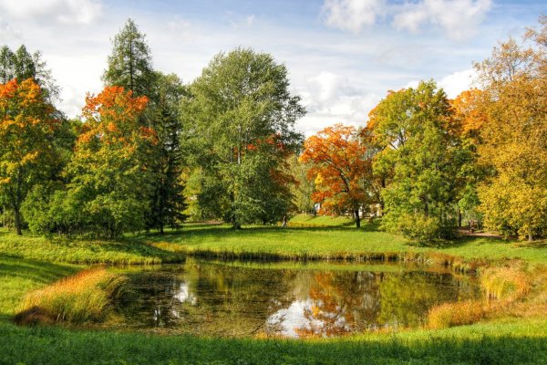 Природа ранняя осень