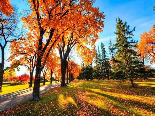 Природа осень