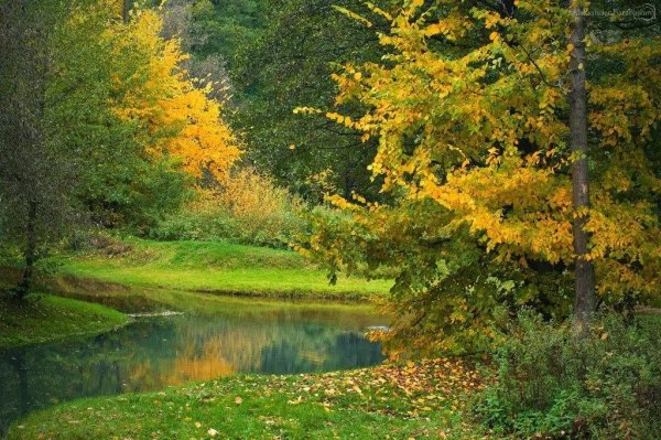 Пейзаж ранняя осень