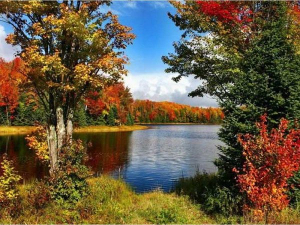 Пейзаж начало осени