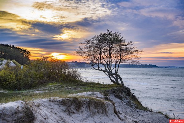 Балтийский залив пейзаж