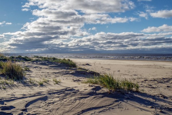 Балтийский берег