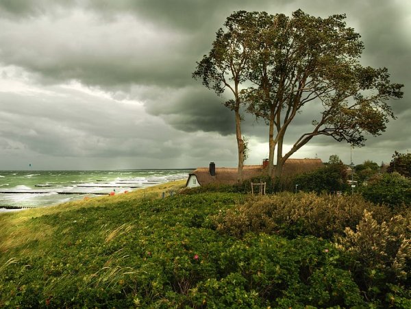 Балтика природа