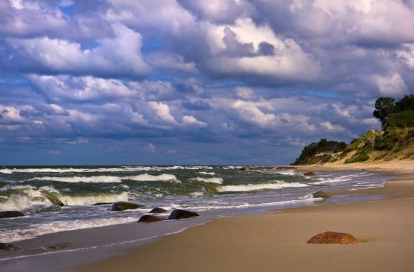 Балтийское море Калининград дюны