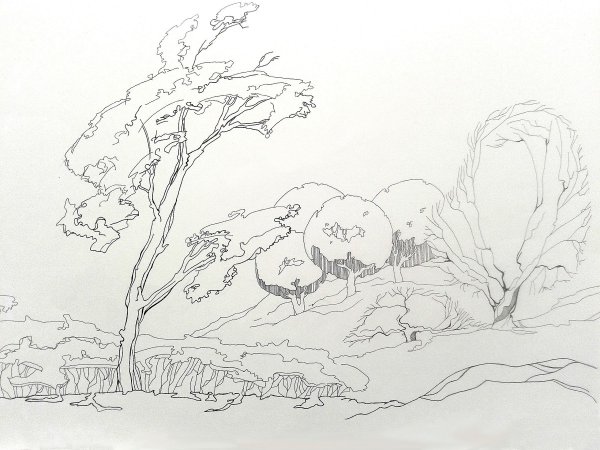 Антураж в пейзажах