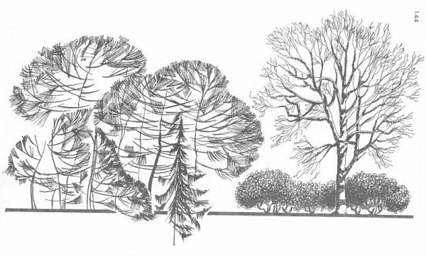 Антураж и стаффаж композиция