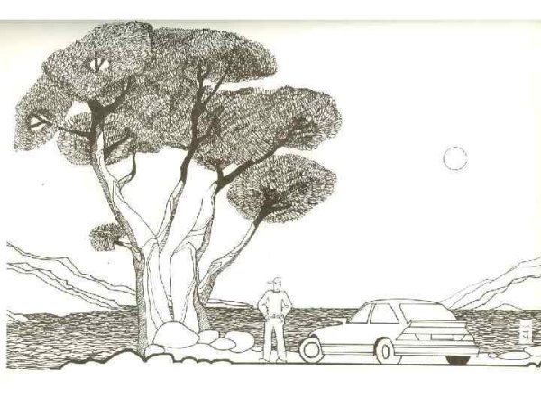 Антураж стаффаж парк