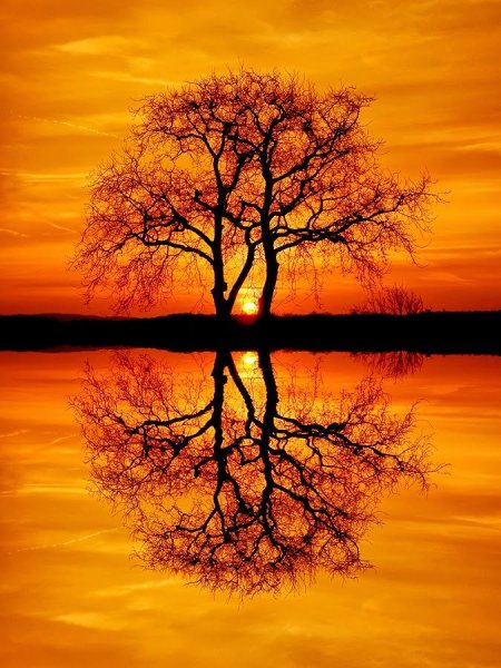 Пейзаж в оранжевых тонах