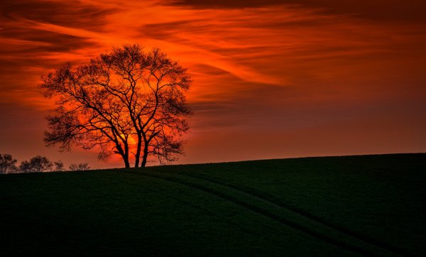 Картинки на рабочий стол закат природа