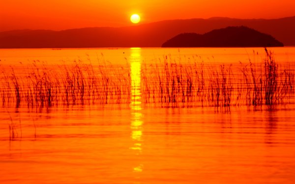 Оранжевый пейзаж