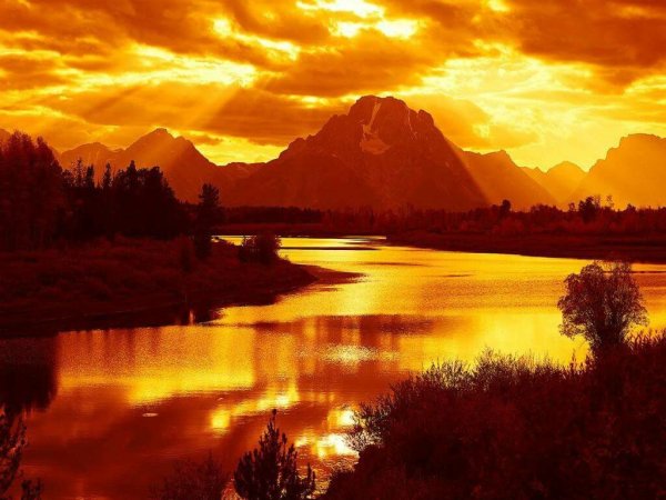 Оранжевый пейзаж