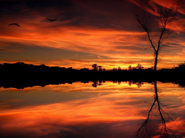 Оранжевый закат на озере