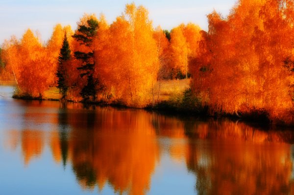 Оранжевая природа