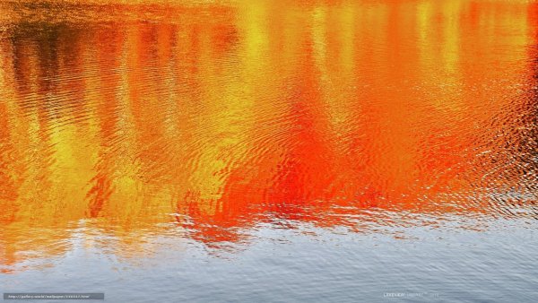 Оранжевый цвет в природе