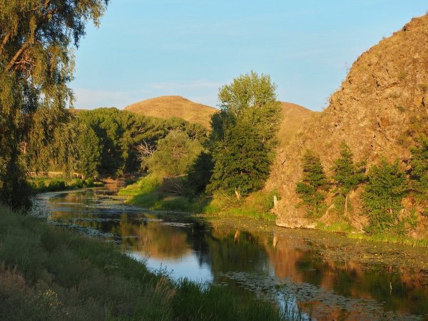 Река Урал в Оренбургской области