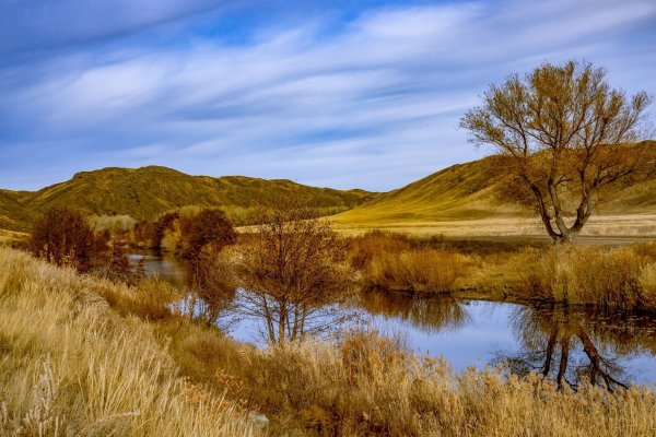 Река Губерля Оренбургская область