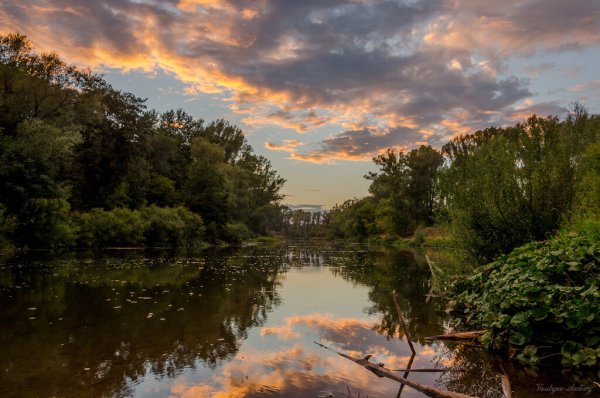 Оренбург область природа