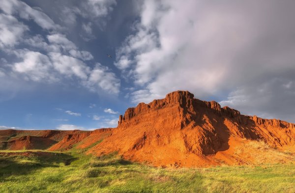 Природа Оренбургской области