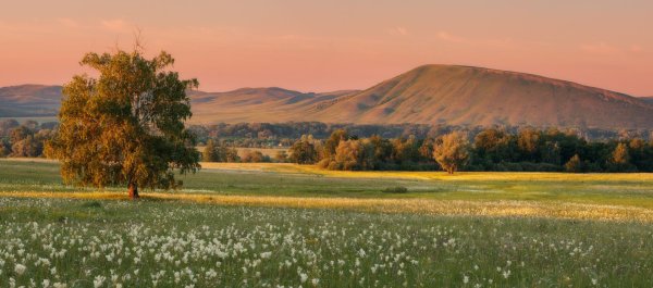 Природа степь Оренбург