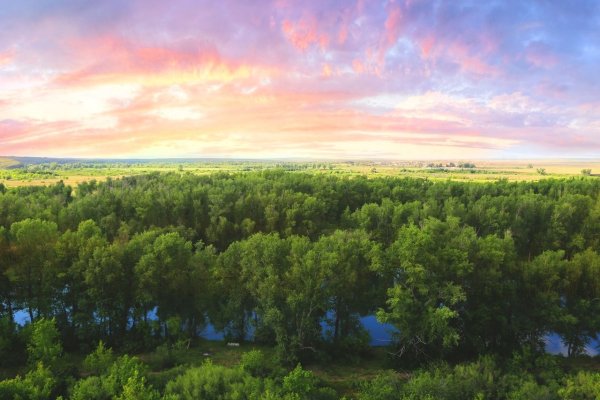 Город Бузулук Оренбургской области природа