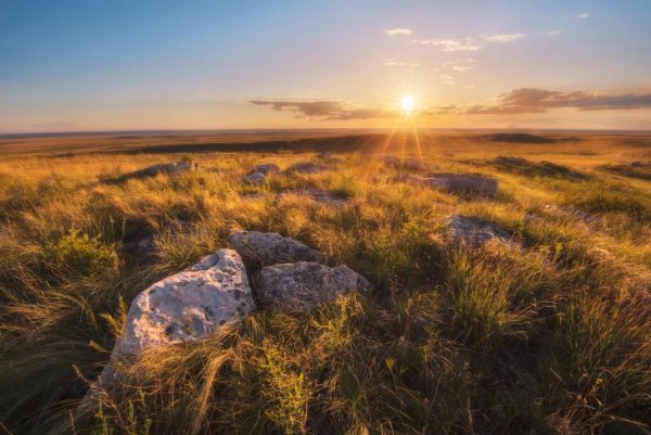 Оренбург Степной заповедник