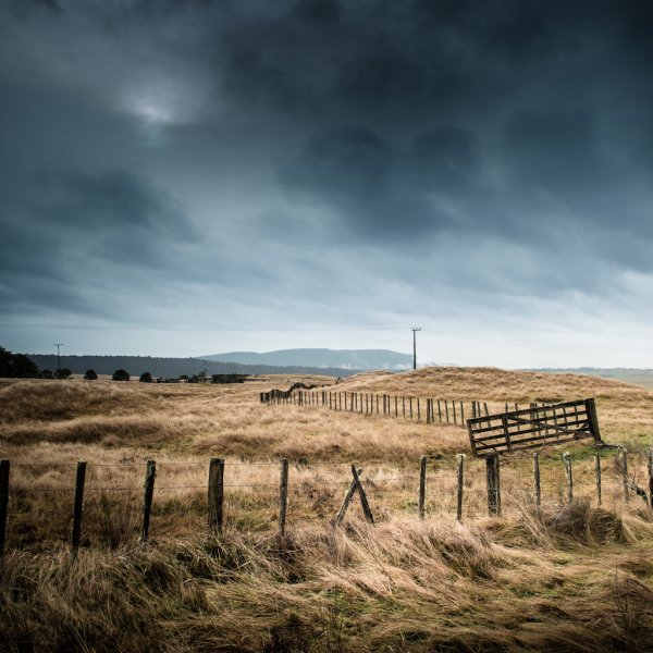 Снежное утро