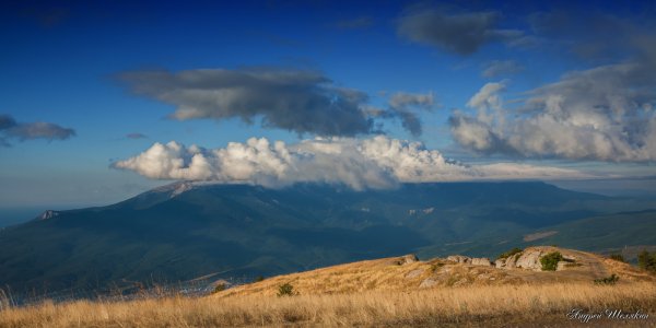 Поздеев художник Феодосия