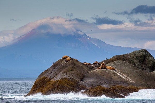 Полуостров Камчатка