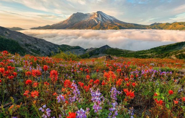 Альпийские Луга Камчатки
